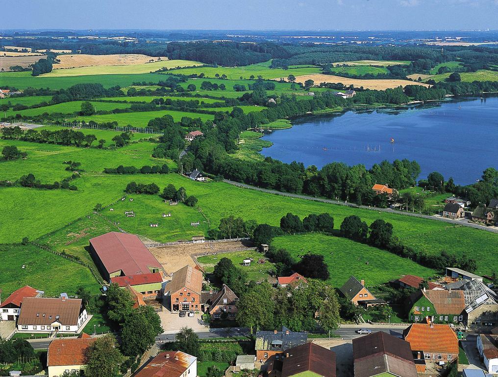 Ponyhof Naeve Am Wittensee Gross Wittensee Exterior foto