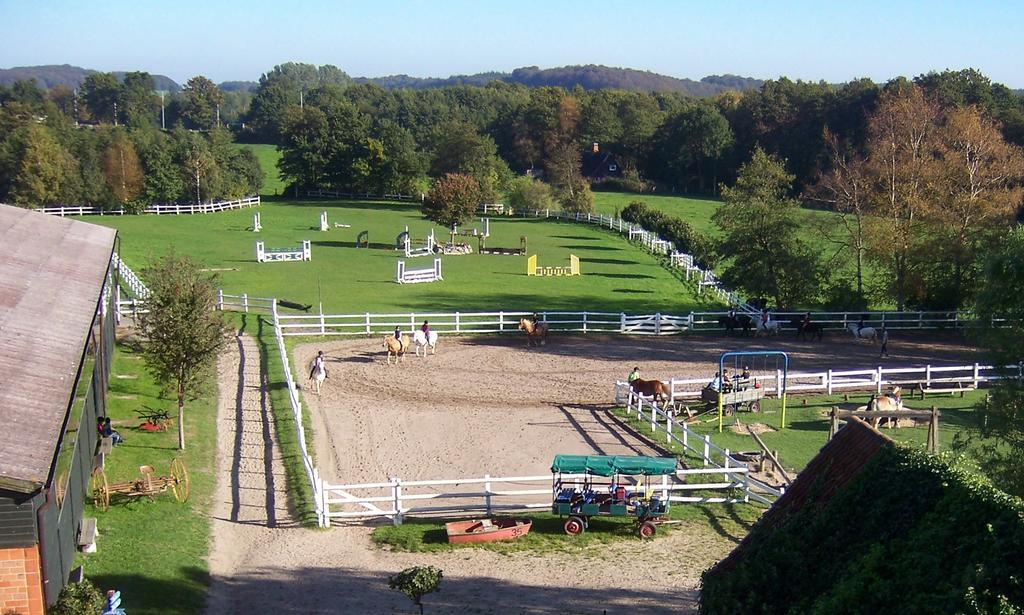 Ponyhof Naeve Am Wittensee Gross Wittensee Exterior foto